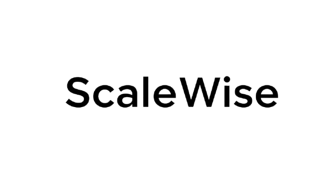 ScaleWise Mentors Logo
